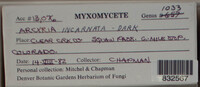 Image Associated With the Occurence